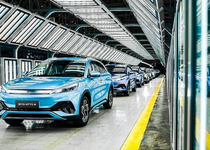 Dominasi BYD  Mulai Goyah? Produksi Diperlambat, Ekspansi Ditunda