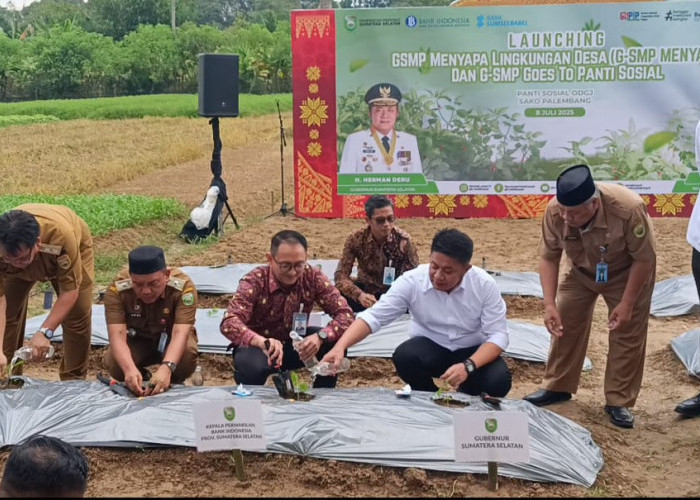 Pemprov Sumsel Bangun Kemandirian Pangan Masyarakat Lewat Program GSMP