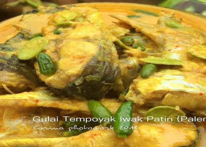 Gulai Tempoyak Santan Patin dengan Terong dan Pete, Sajian Asam Gurih Khas Sumatera