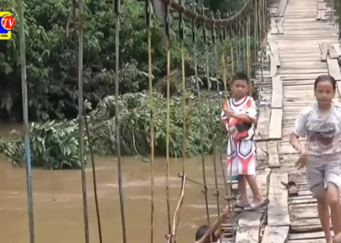 Video: Jembatan Gantung Desa Rantau Kumpai Diterjang Banjir Perlu Segera Perbaikan