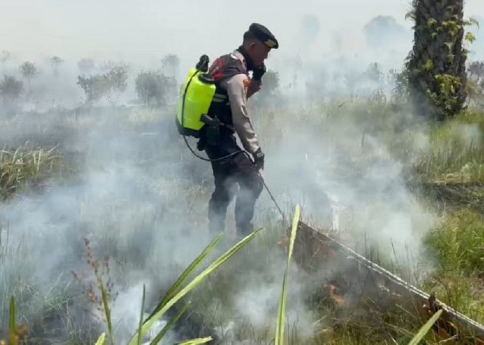 Lagi, Karhutla Landa Indralaya Utara: 5 Hektar Lahan Gambut Terbakar di Parit dan Sungai Rambutan