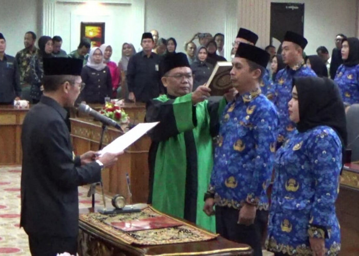 Kabar Baik! Tenaga Honorer di Lingkup Pemkot Palembang Bebas Ikuti Formasi Tes PPPK 2024