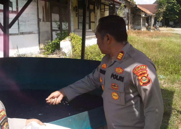Dukung Program Ketahanan Pangan, Polsek Indralaya Bangun Kolam Ikan di Pekarangan Kantor