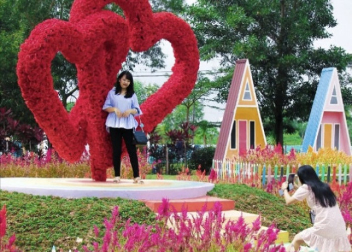 Keindahan Taman Celosia di Palembang, ‘Surga’ bagi Penggemar Bunga dan Fotografi