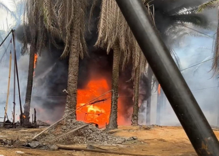 Sumur Minyak Ilegal Terbakar di Keluang, Polisi Selidiki Penyebab dan Bantah Keterlibatan Anggota