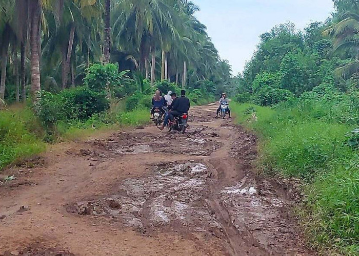 Gawat! Baru 6 Bulan Dilakukan Pengerasan, Jalan Penghubung Desa Delta Upang-Tirta Kencana Rusak Lagi