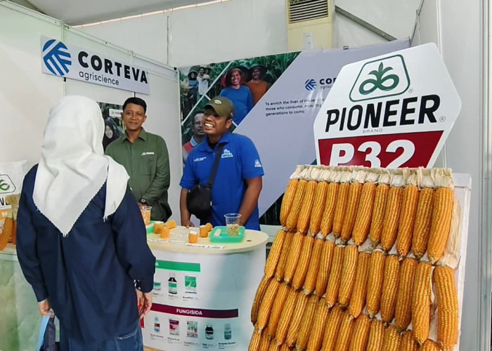 Varietas Jagung Pioneer P32 Jadi Sorotan di GPTPN ke-X Sumsel, Ini Keunggulannya !!