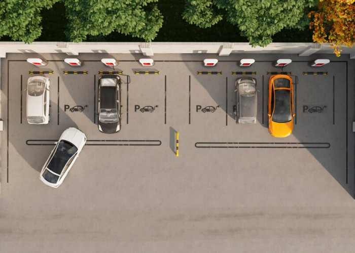 Jangan Sampai Tabrak! Begini Cara Parkir Mundur yang Benar