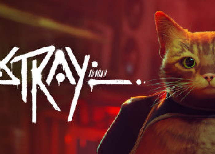 Stray, Game yang Wajib Dimainkan Bagi Pecinta Kucing dan Penggemar Petualangan