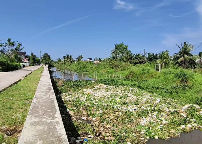 Warga Resah Sungai Lambidaro Kawasan Tanjung Barangan Penuh Sampah
