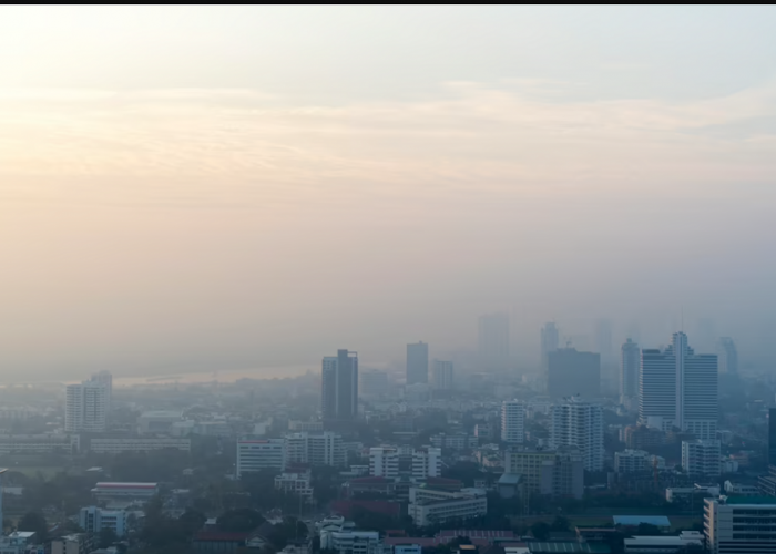 Bahaya Polusi Udara! Penyakit Paru-Paru Kronis dan Radang Tenggorokan Rentan Muncul
