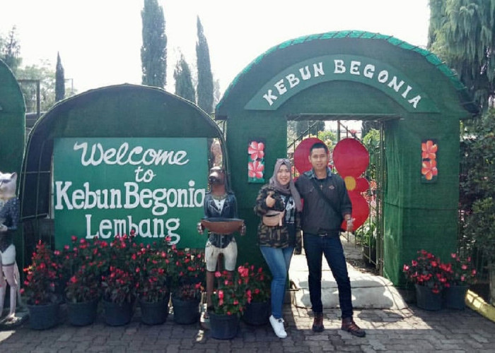 Kebun Begonia, Tempat Selfie dan Wisata Edukasi di Lembang