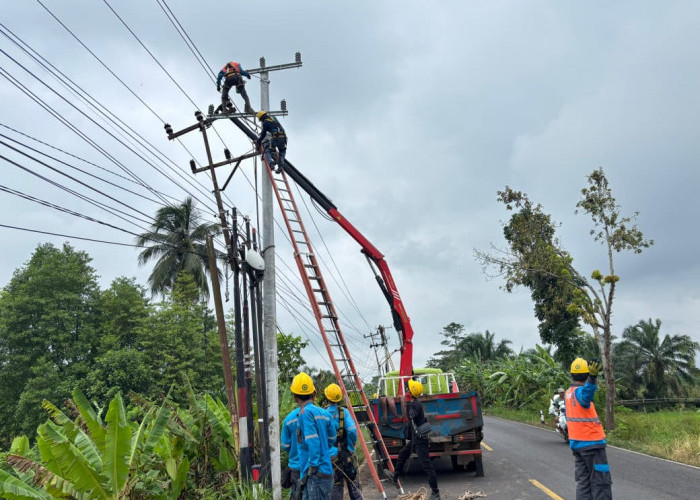 PLN Tuntaskan Perbaikan Tiang SUTM Akibat Badai di Desa Banding Anyar