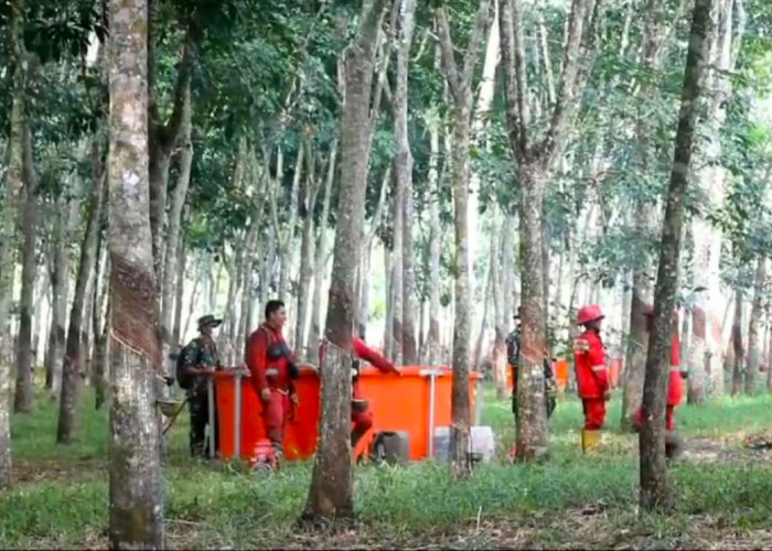 Muara Enim Siap Antisipasi Dini Karhutla