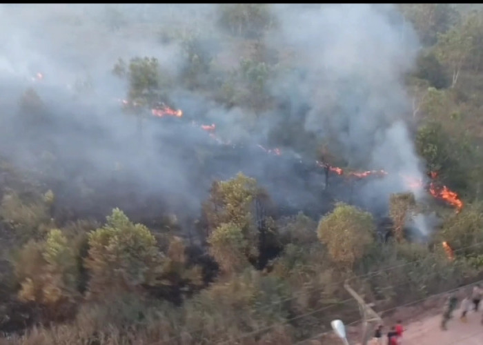 Karhutla di OKI Berada di Puncak Tertinggi,130 Hotspot dan 34 FIRE Spot Masih Terdeteksi 