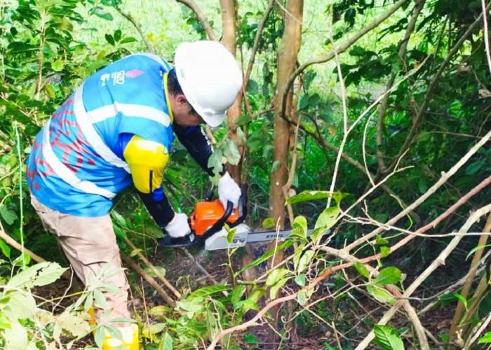 Wujudkan Listrik Andal untuk Masyarakat, PLN UP3 Ogan Ilir Laksanakan Pemeliharaan Jaringan