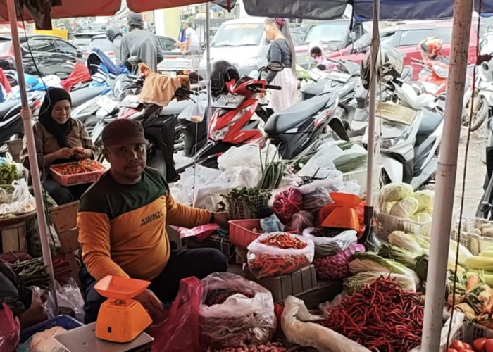 Harga Cabai Merah di Palembang Tembus Rp80 Ribu, Tenyata Ini Pemicu Utama!!