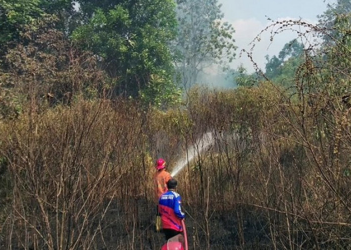 BPBD Kota Prabumulih Padamkan 24 Titik Api yang Ditemukan Tersebar di 4 Kecamatan di Prabumulih