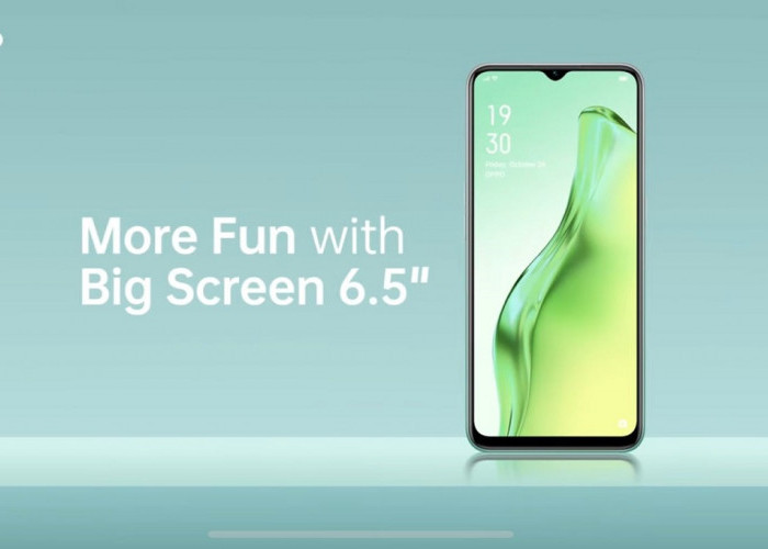 HP OPPO Gede & Ganteng Cuma 1 Jutaan, Layarnya 6,5 Inci!