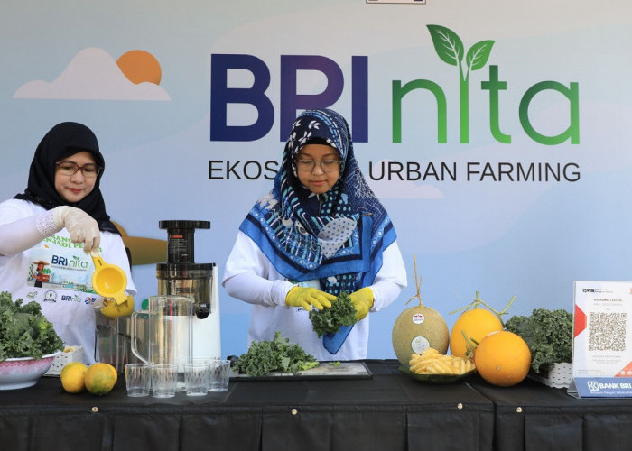 BRI Cetak Prestasi! Program Pemberdayaan Perempuan Raih Pengakuan Internasional