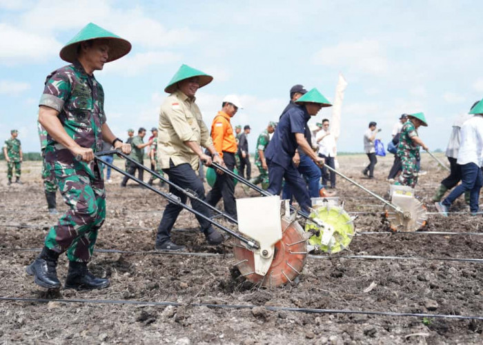 Pangdam Canangkan Penanaman Padi Gogo Guna Mendukung Ketahanan Pangan