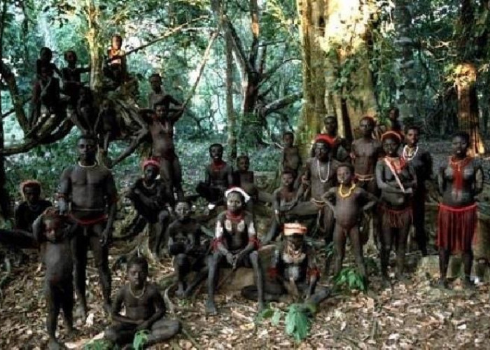 Suku Sentinel : Suku Paling Terisolasi di Kepulauan Terpencil Samudera Hindia Yang Tertutup dari Dunia Luar