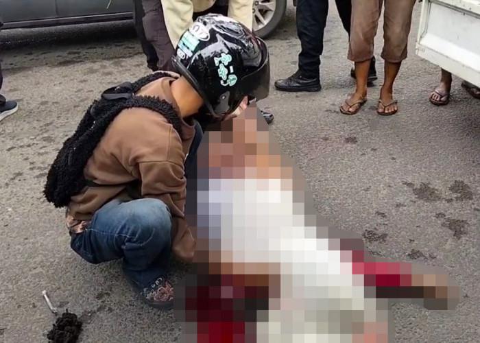 Seorang Perempuan Tewas di Jalan Gubernur HA Bastari, Diduga Korban Tabrak Lari