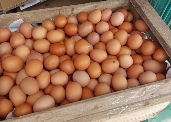 Pedagang di Pasar Sukajadi Banyuasin Prediksi Harga Telur Ayam Merangkak Naik Jelang Natal dan Tahun Baru