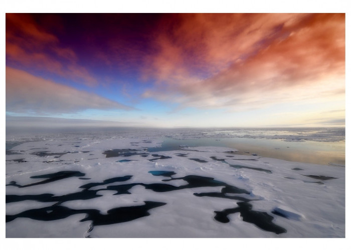 5 Dampak Buruk Jika Lapisan Es di Antartika Mencair, Nomor 5 sangat Mengerikan