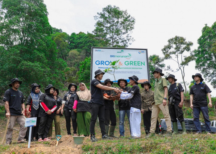 Kolaborasi Hijau, BRI Menanam dan Kelompok Tani Wujudkan Masa Depan Lebih Bersih! 