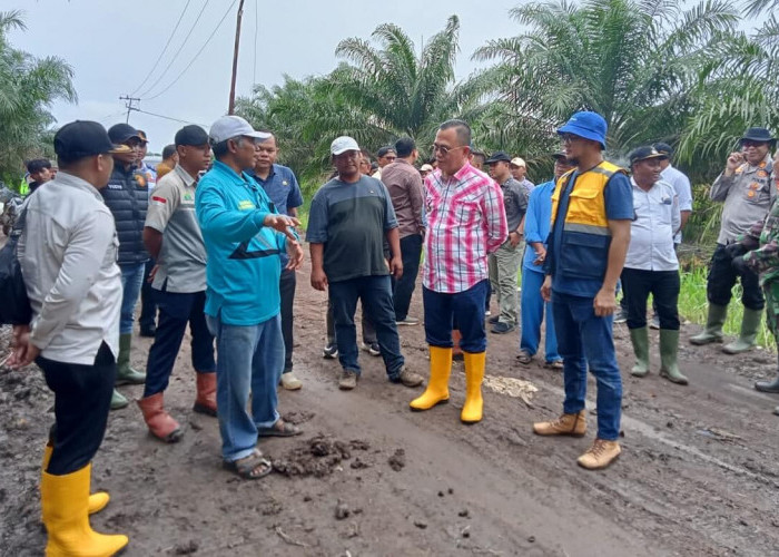 Pj Bupati Banyuasin Hani Syopiar Rustam Tinjau Langsung Kondisi Jalan Poros di Kecamatan Air Salek