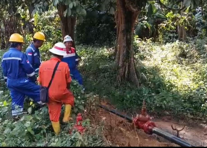 Pipa Pertamina Adera Bocor, Minyak Mentah Cemari Lingkungan di PALI
