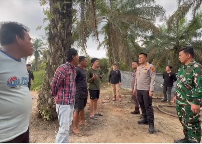 Gebrakan Besar! Aparat Gabungan Sikat 56 Sumur Minyak Ilegal di Muba, Puluhan Pekerja Diamankan