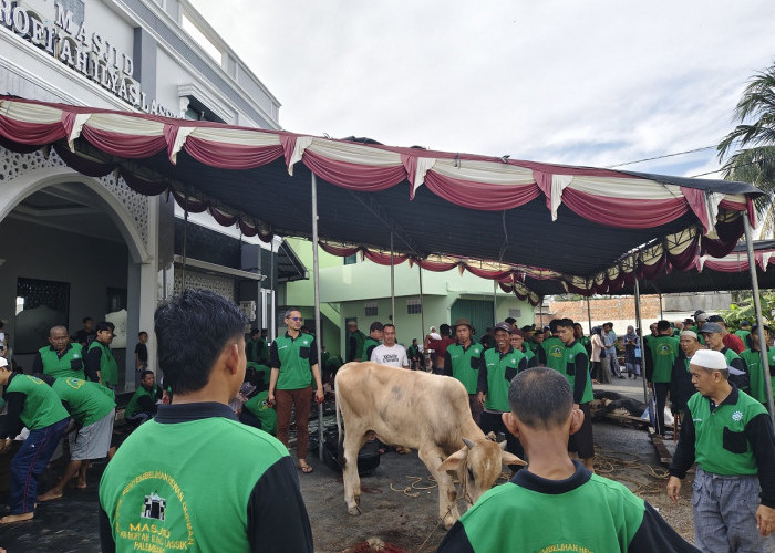 Semarak Kurban di Masjid Ar-Rofiah Ilyas Lassik, 15 Sapi dan 4 Kambing Disembelih 