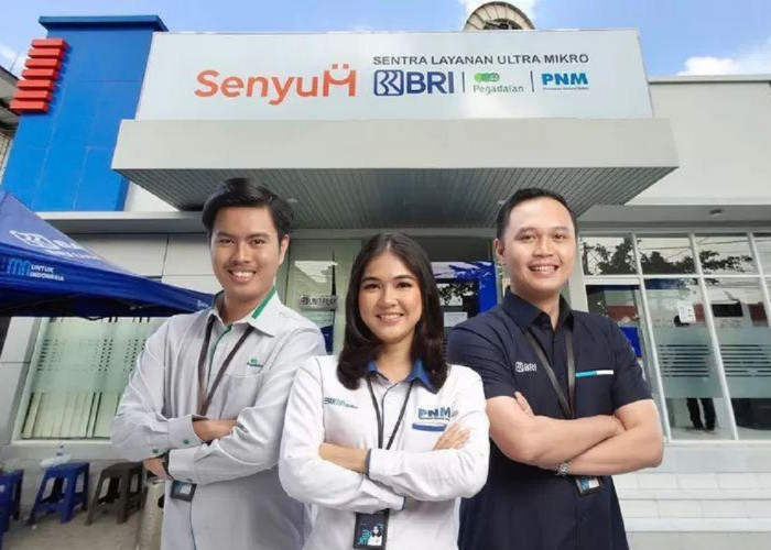 35,4 Juta Usaha Terbantu! Begini Cara Holding Ultra Mikro Dorong Pemerataan Ekonomi