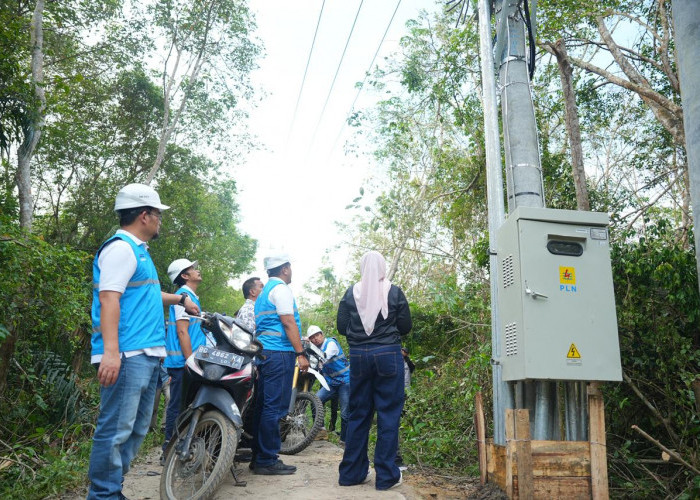 PLN Kawal Tuntas Pembangunan Infrastruktur Kelistrikan Desa Pedamaran Kabupaten OKI