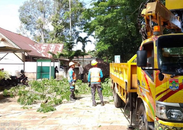 PLN UP3 Lubuklinggau Sambut Hari Kesaktian Pancasila dengan Pembersihan Jalur Listrik di Jalan Lintas Sumatera