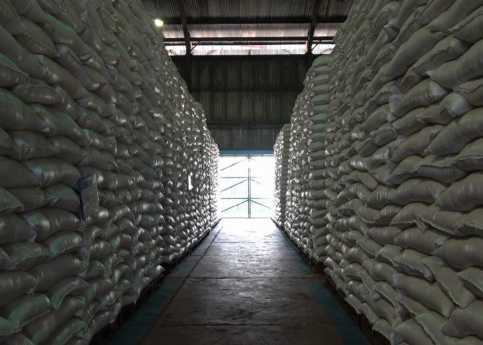 Stok Beras Menumpuk, Komisi IV DPR RI Minta Bulog Segera Distribusikan