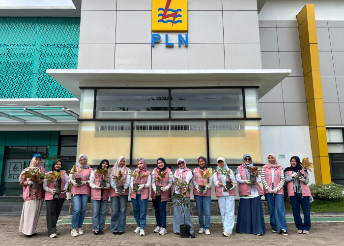 Srikandi PLN UP3 Ogan Ilir Gelar Gerakan Sejuta Pohon, Wujud Kepedulian terhadap Lingkungan Kerja