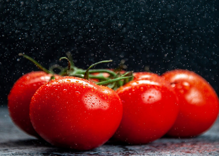 Makan Tomat Tiap Hari! Apa Efek Yang Terjadi Bagi Tubuh, Simak Kata Ahli Diabetes 