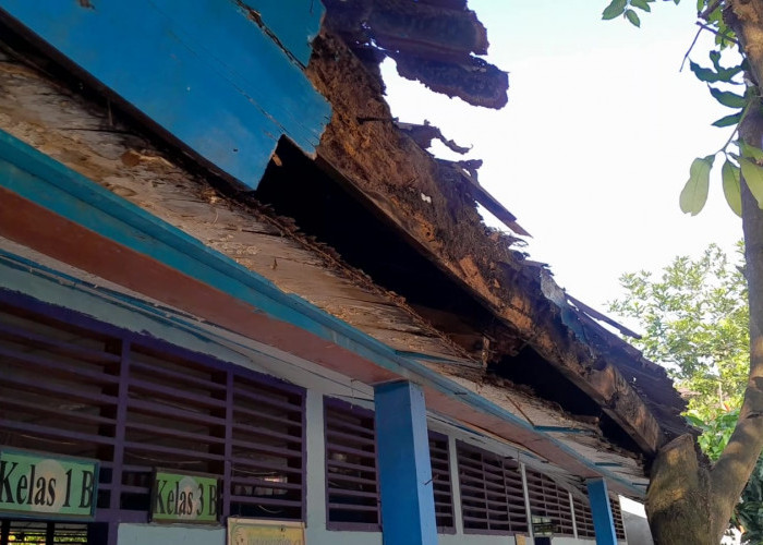 Disdik Palembang Akan Perbaiki 30 Persen Sekolah Rusak Secara Bertahap