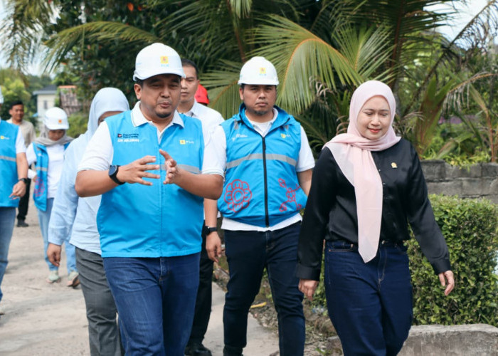 PLN–DPR RI Tinjau Progres Listrik Desa Pulau Semambu, 4,63 Km Jaringan Rampung Jangkau Lima Dusun