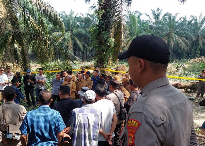 Cegah Dini Eskalasi Konflik Sosial di Sungai Sodong,PJ Bupati OKI Minta PT SWA Hentikan Replanting