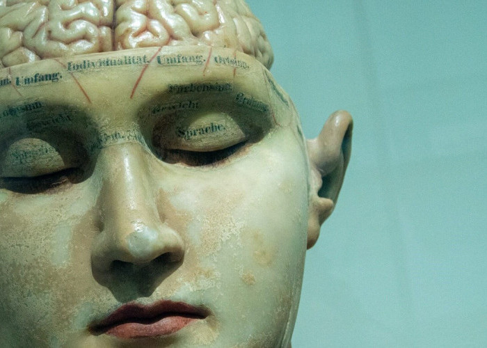 7 Bagian-Bagian Otak Manusia: Pusat Kesadaran dan Pengendali Tubuh
