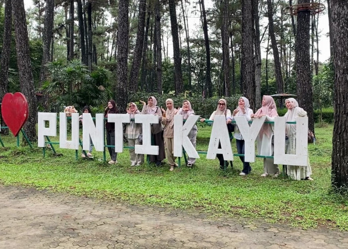 Wali Kota Palembang Tunggu Regulasi Pengelolaan TWA Punti Kayu 