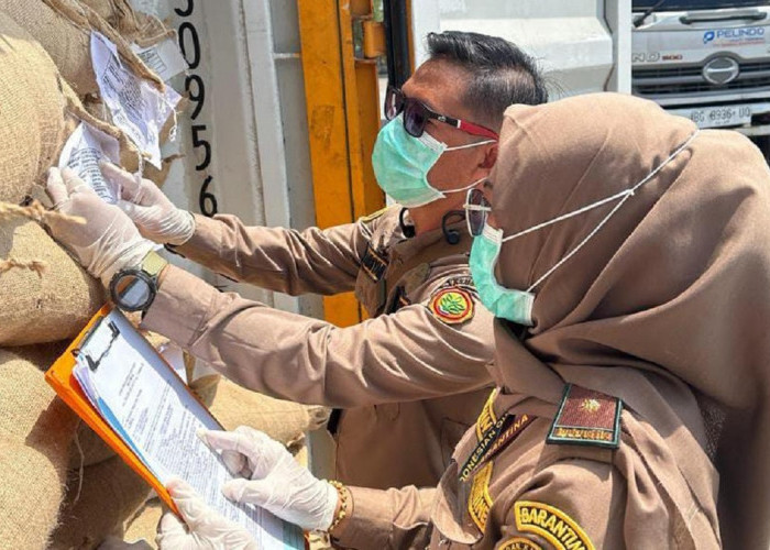 Pertama Kali, Kopi Pagaralam Diberangkatkan ke Malaysia Melalui Pelabuhan Boom Baru