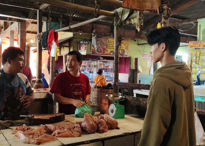 Harga Ayam di Palembang Tembus Rp38 Ribu per Kilogram, Pedagang Mengeluh Penjualan Turun