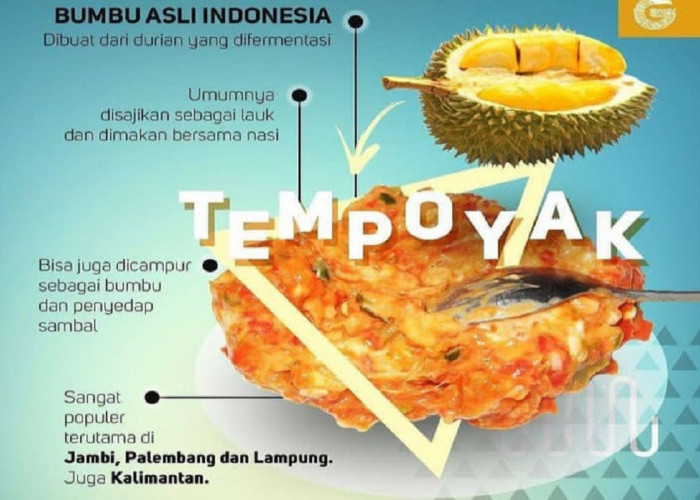 Boleh di Coba ! 4 Masakan Ikan di Sumsel Yang dicampur Dengan Tempoyak Durian