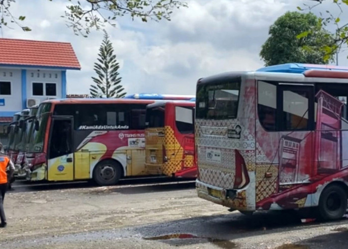 15 Unit Bus Trans Musi Disetujui Dilelang