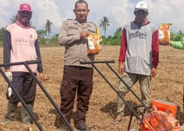 Polsek Pemulutan Tanam Jagung di Lahan 2 Hektar Desa Tanjung Pasir